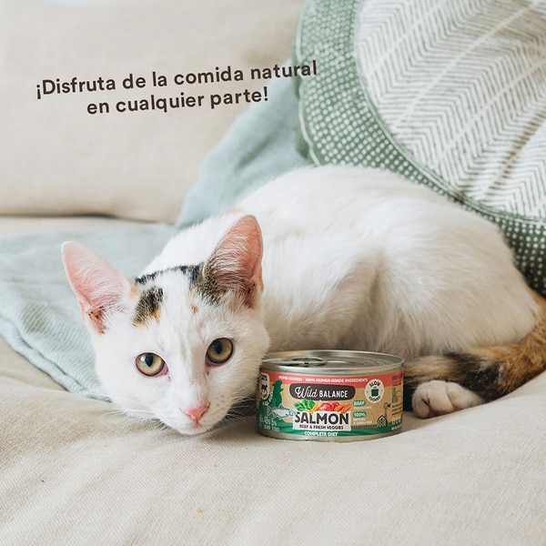 comida húmeda para gatos con salmón, ternera y verduras Grain Free lata 120 g