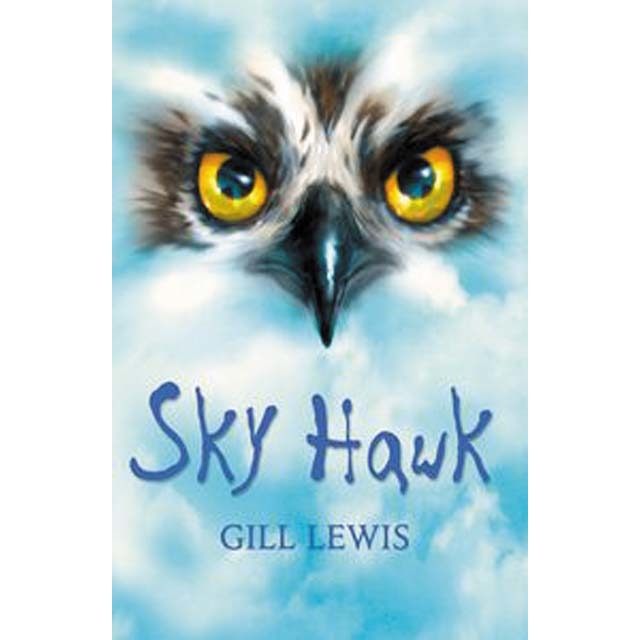 Rollercoasters: Sky Hawk: Gill Lewis 2021 (Capa mole) 1