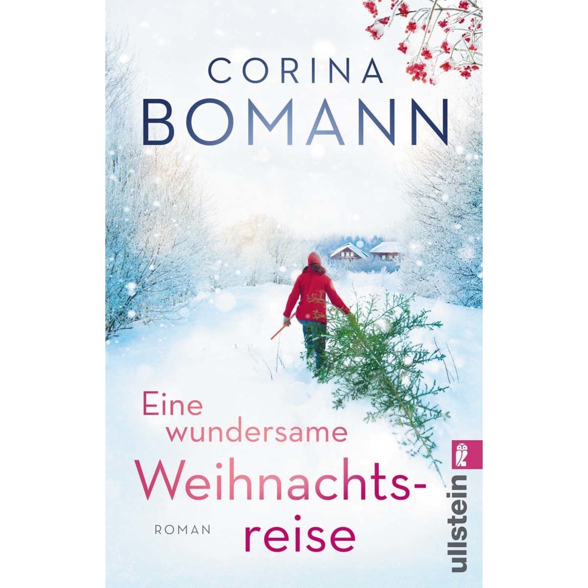 Imagem 0 de Eine wundersame weihnachts reise