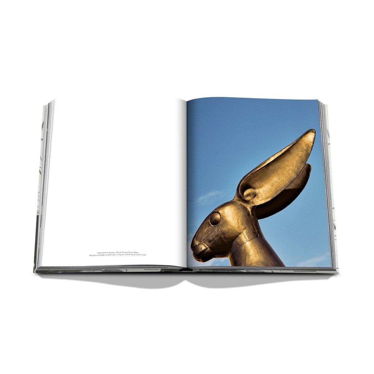 Lalanne 11