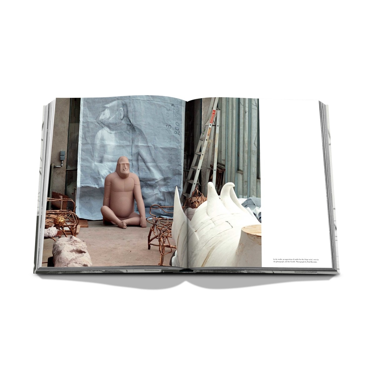 Lalanne 9