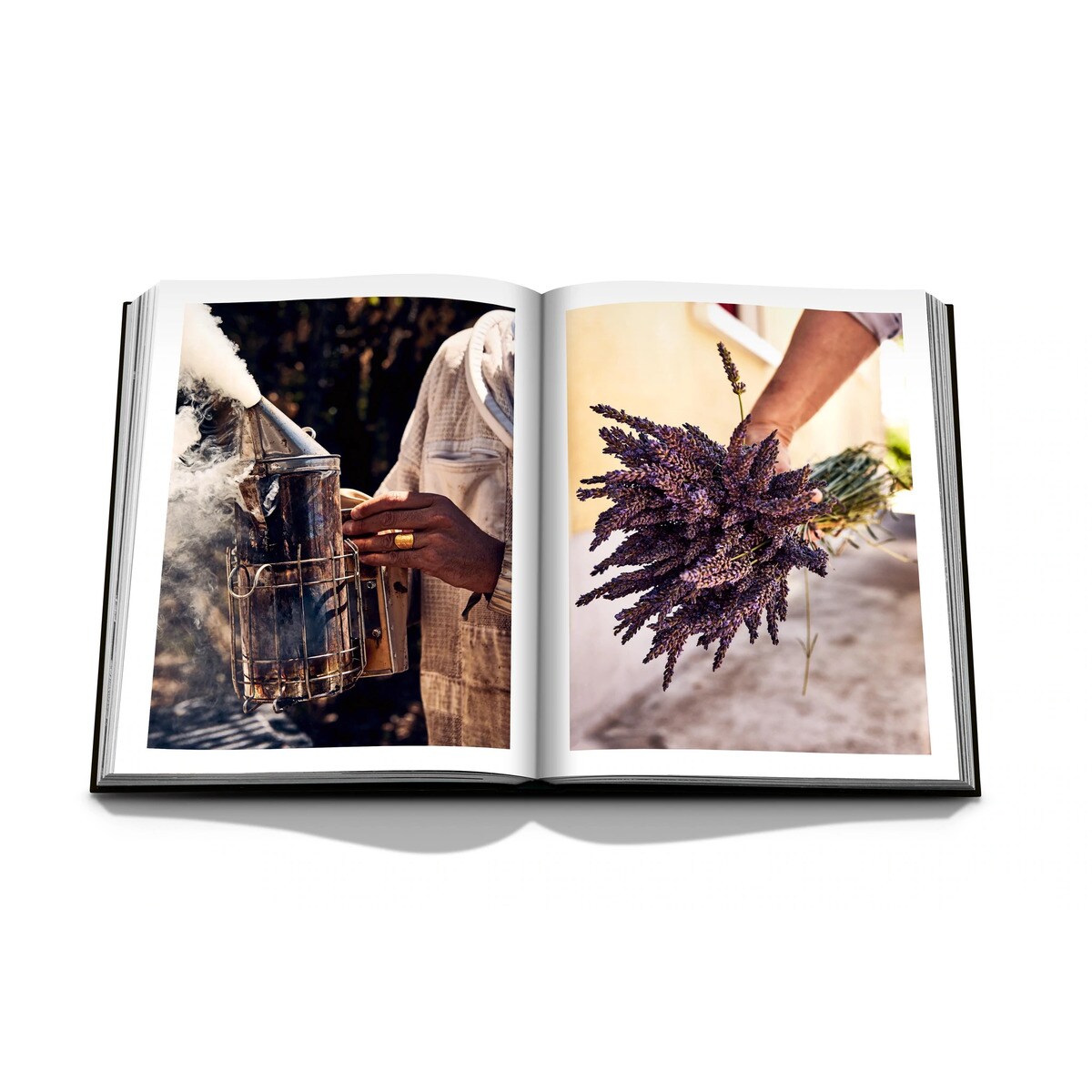 Louis vuitton manufactures 4