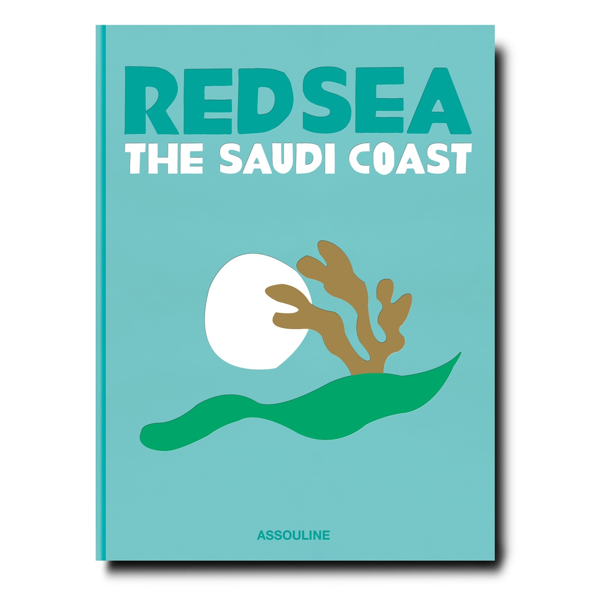 Red sea: the saudi coast 2