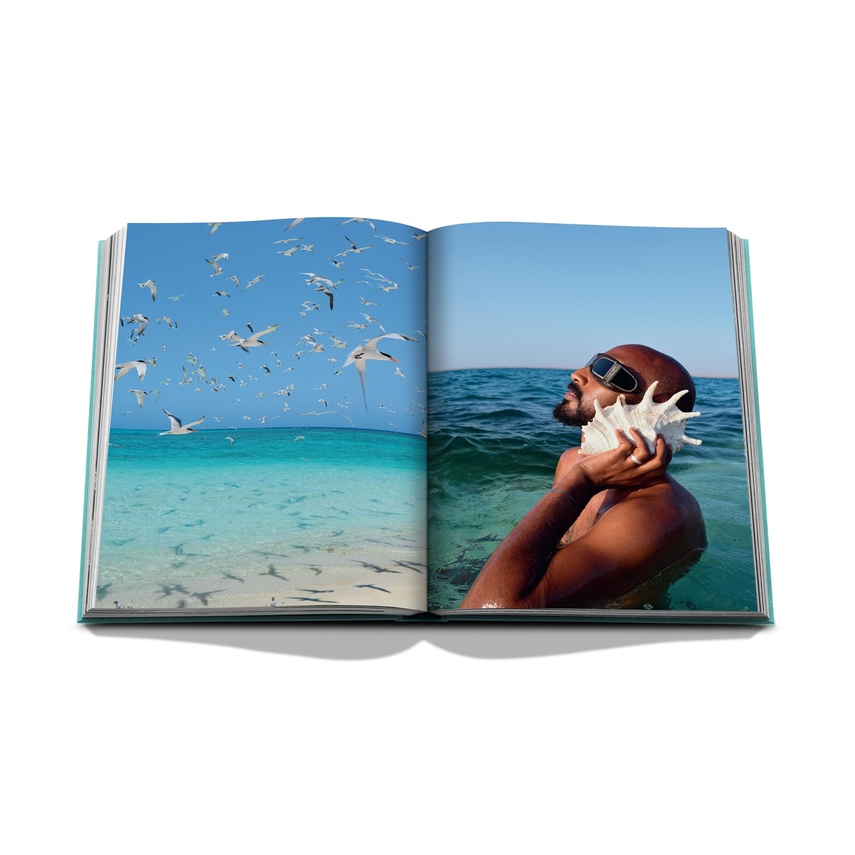 Red sea: the saudi coast 6