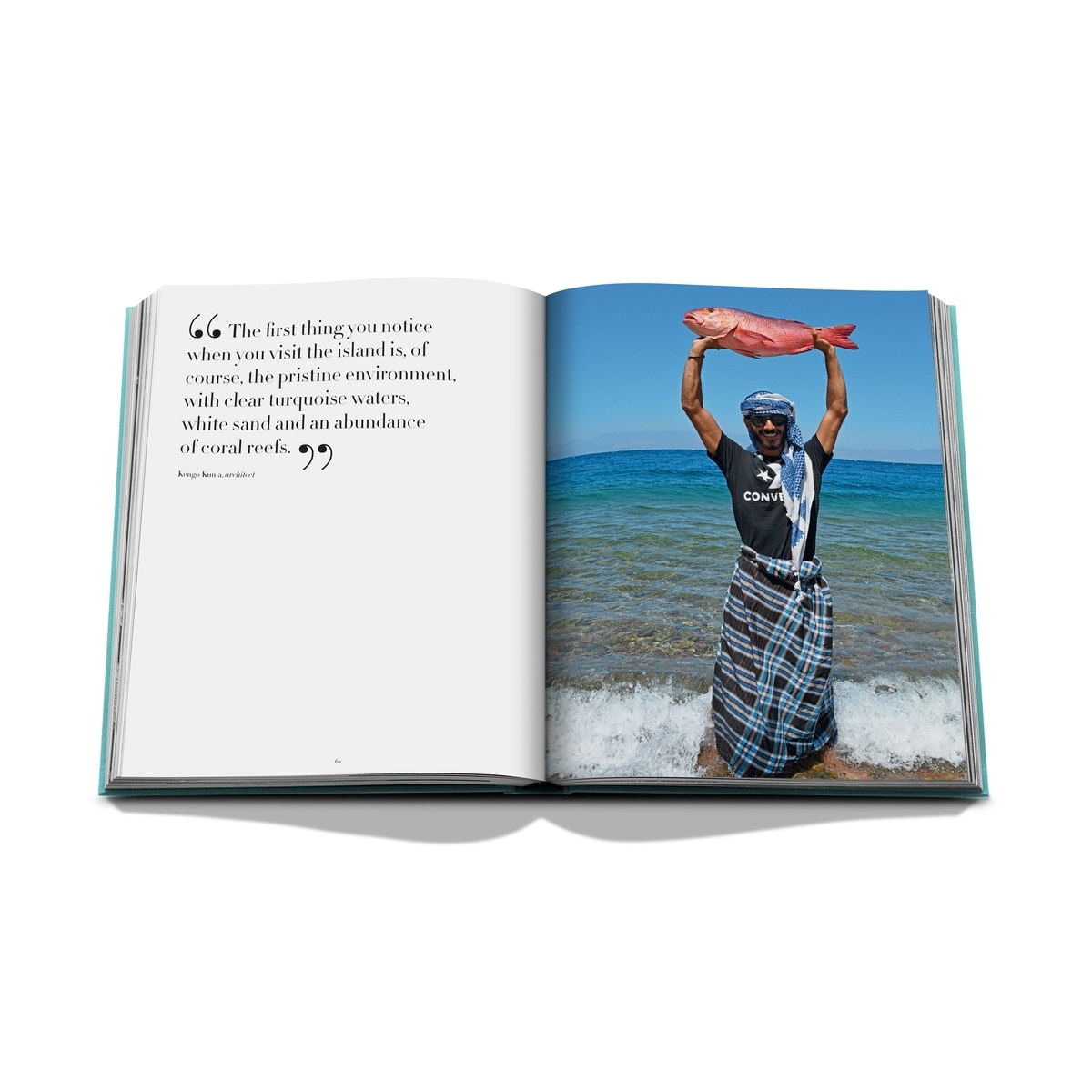 Red sea: the saudi coast 10