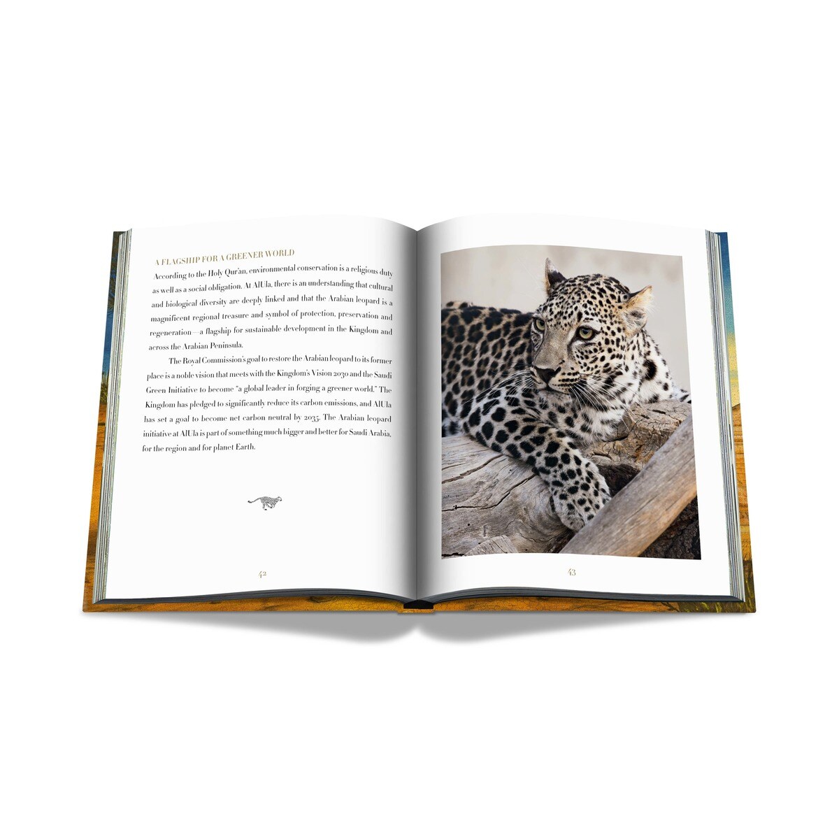 Arabian leopard (ultimate) 11