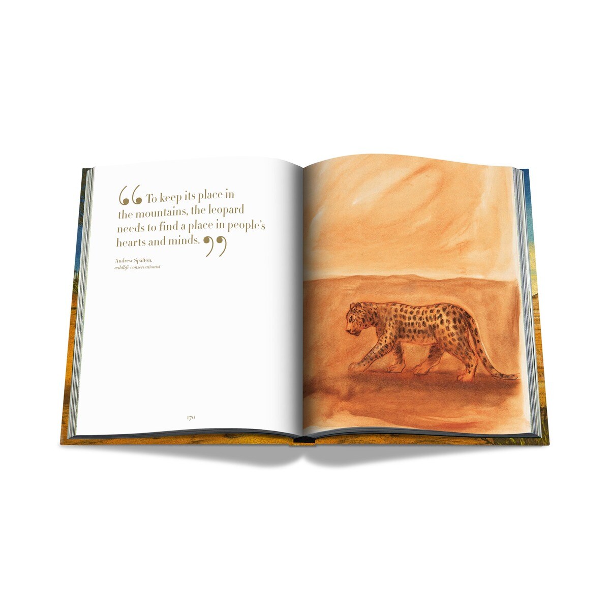 Arabian leopard (ultimate) 9