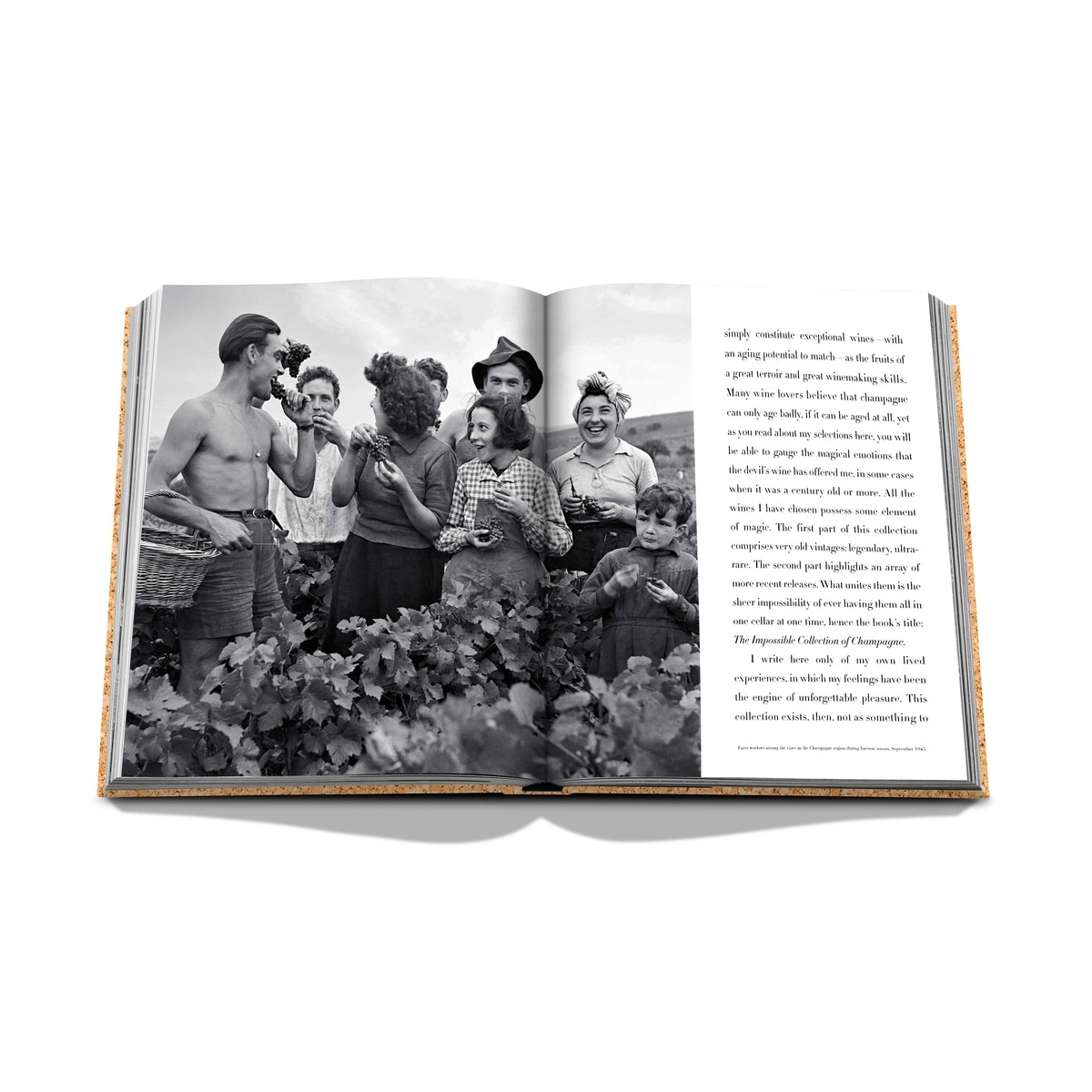 The impossible collection of champagne 13