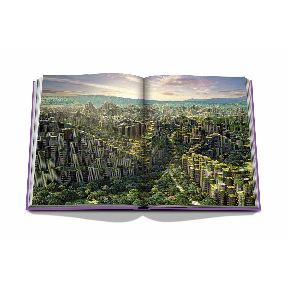 Metaverse dream 11