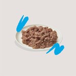 wet cat food pâté with salmon and chicken for adult cats tub 85 g