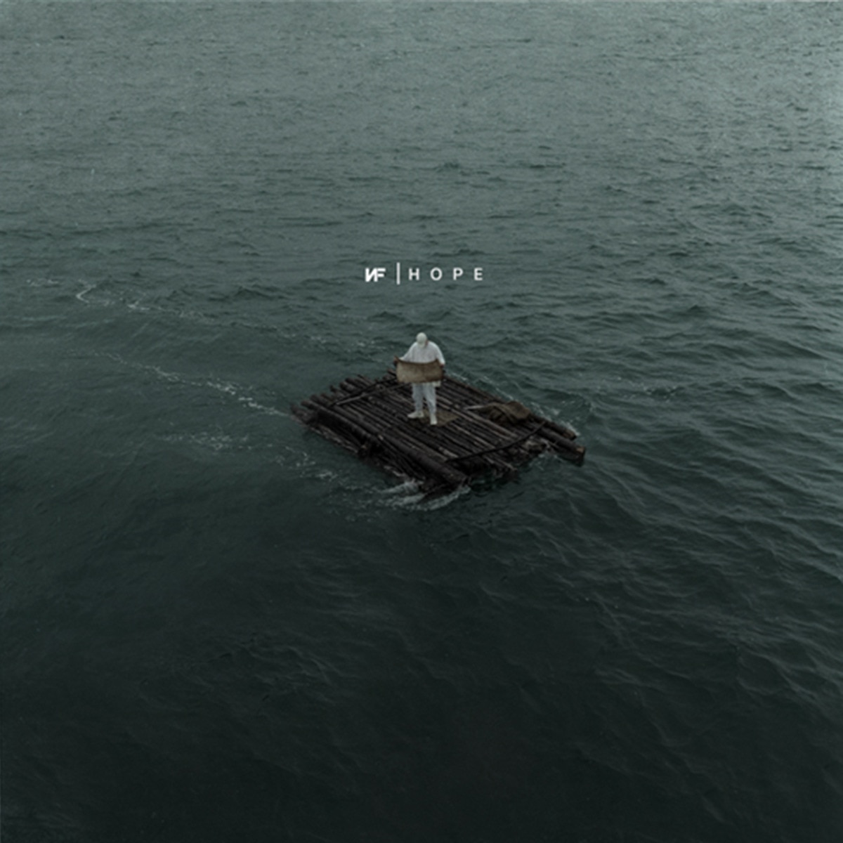 Imagem 0 de HOPE (LP-Vinil)