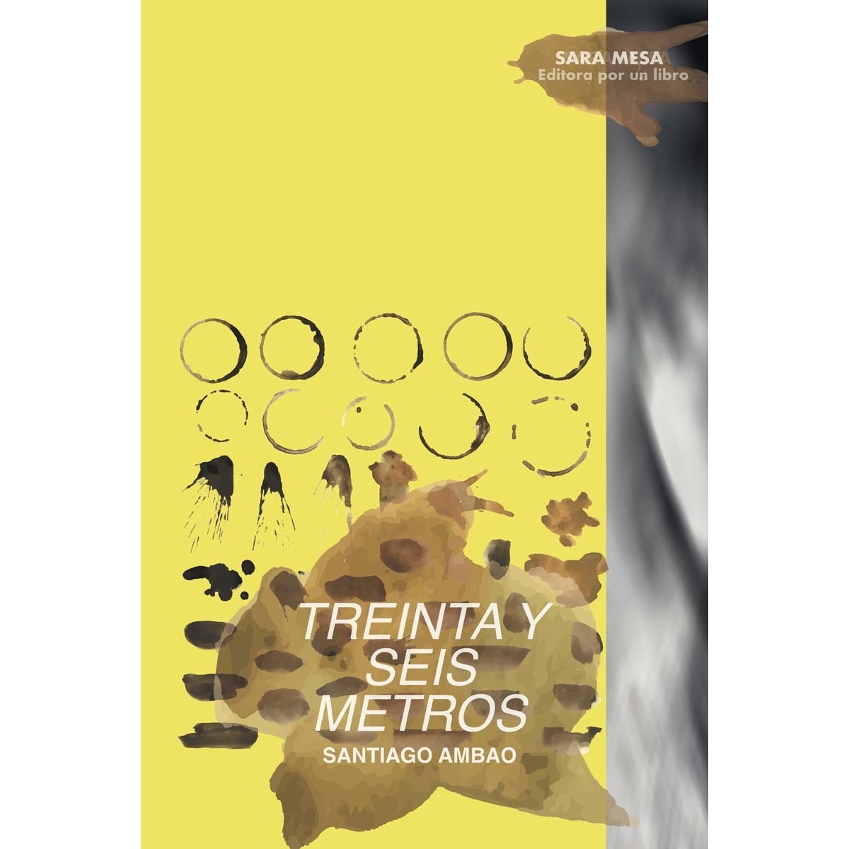 Imagen 0 de Treinta y seis metros  (Tapa blanda Tapa blanda con solapas)