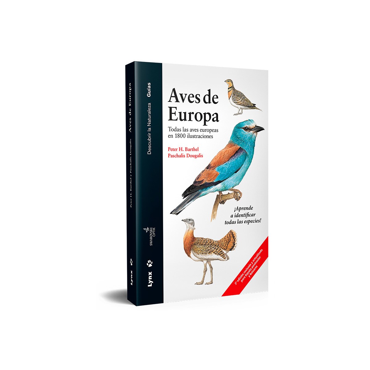 Birds Of The Mesozoic: An Illustrated Field Guide - Guida Illustrata Agli Uccelli Preistorici - Foto 7