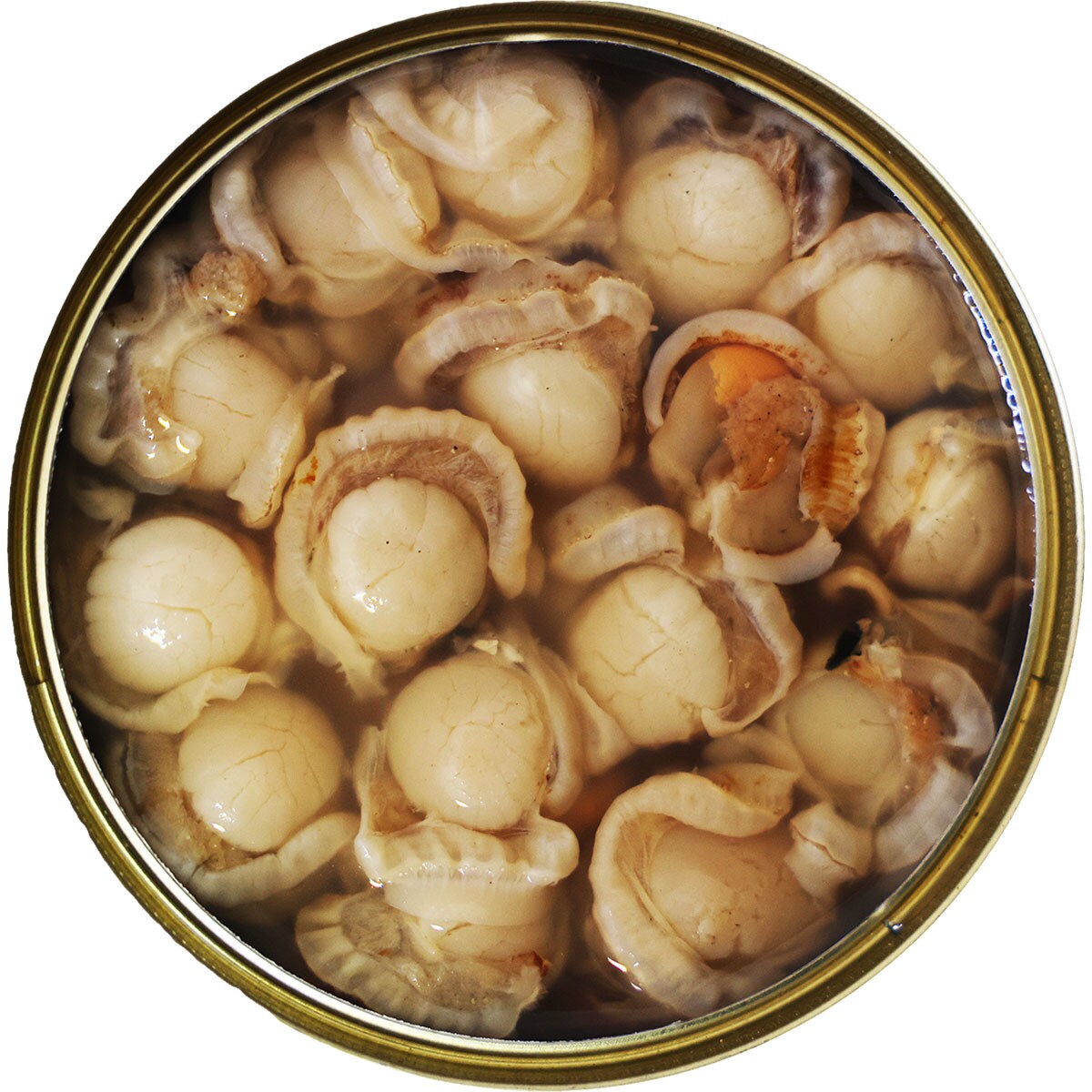 Variegated scallops in brine tin 63 drained weight g · JOSE PEÑA