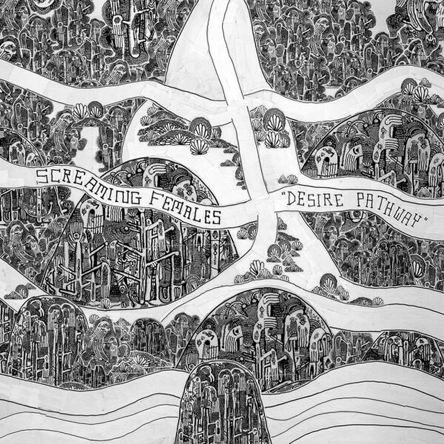 Imagen 0 de Desire pathway (LP-Vinilo)