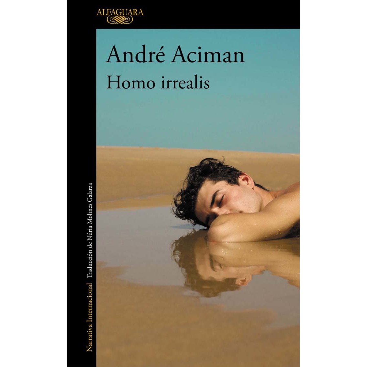 Imagem 0 de Homo irrealis (Capa mole)