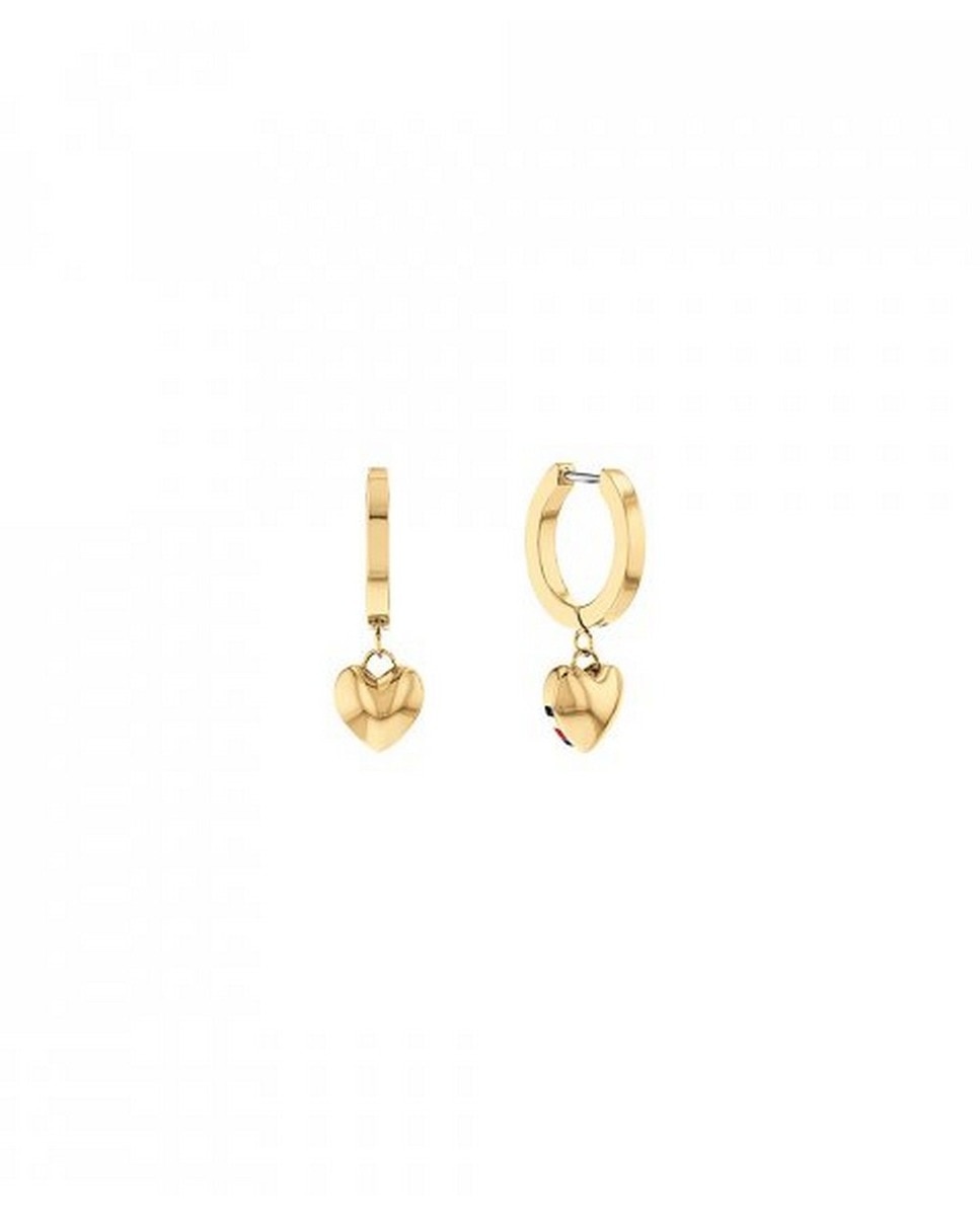 Imagem 0 de Brincos de Aço Inoxidável Dourados