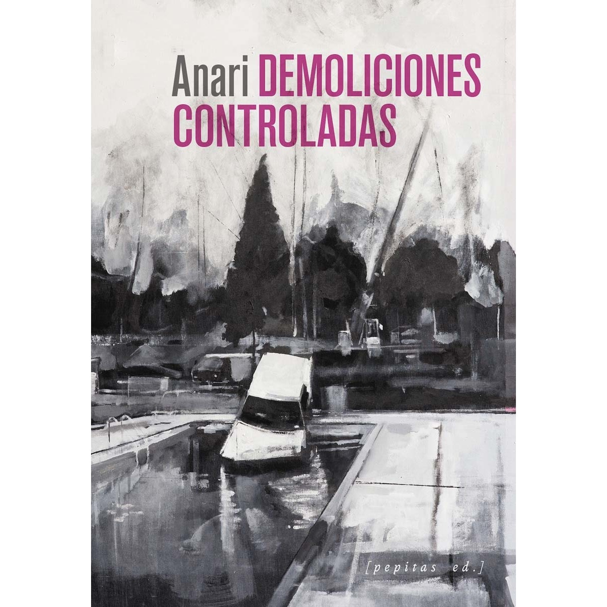 Demoliciones controladas (Capa mole com abas) 1