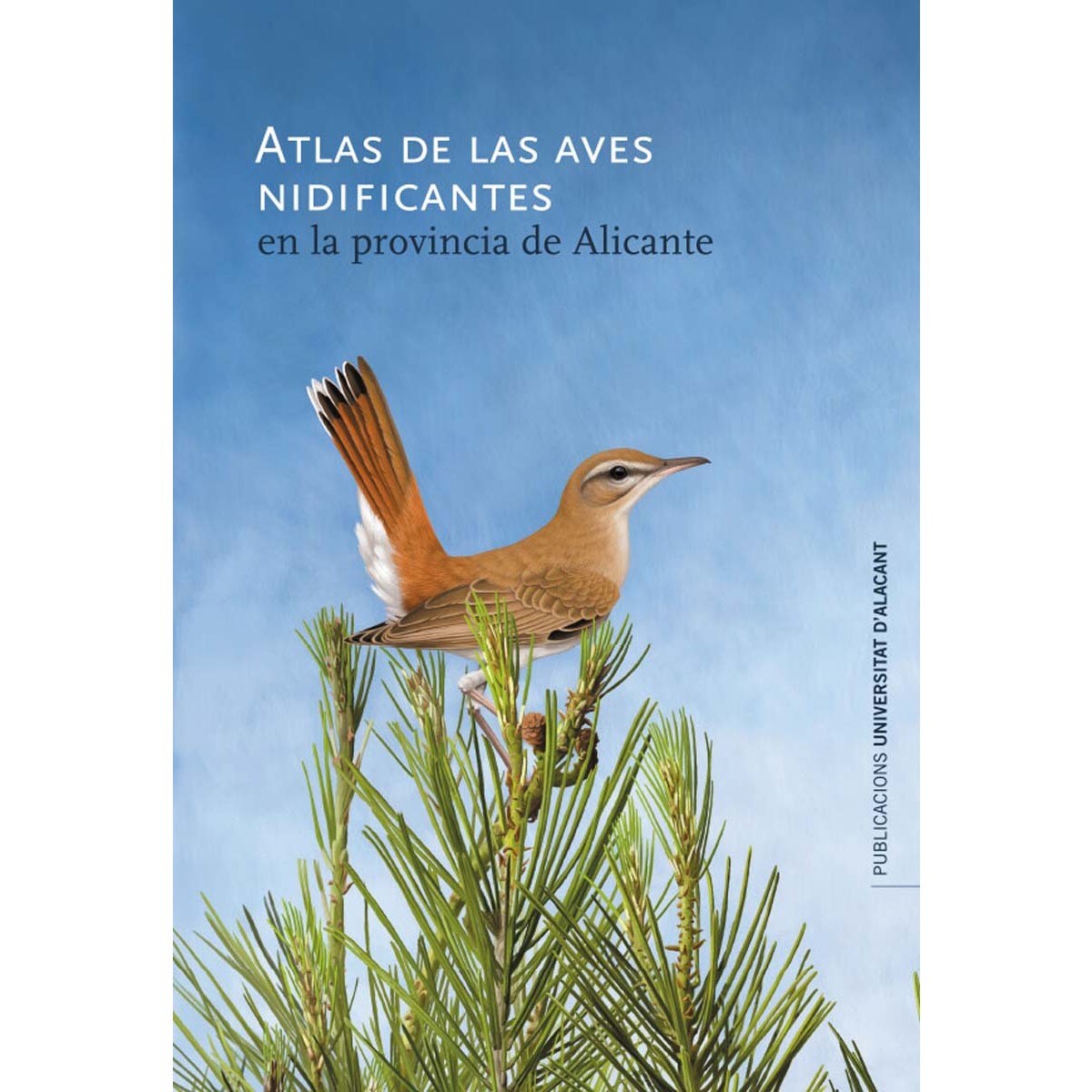 Atlas de aves nidificantes en la provincia de Alicante (Capa dura) 1
