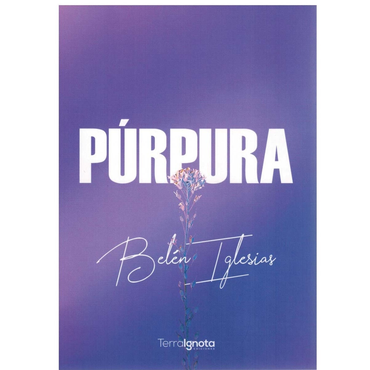 Púrpura (Capa mole com abas) 1