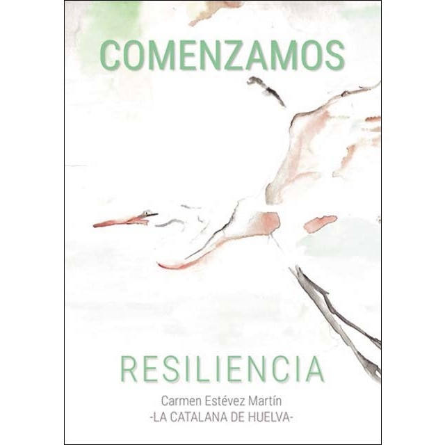 Comenzamos 1