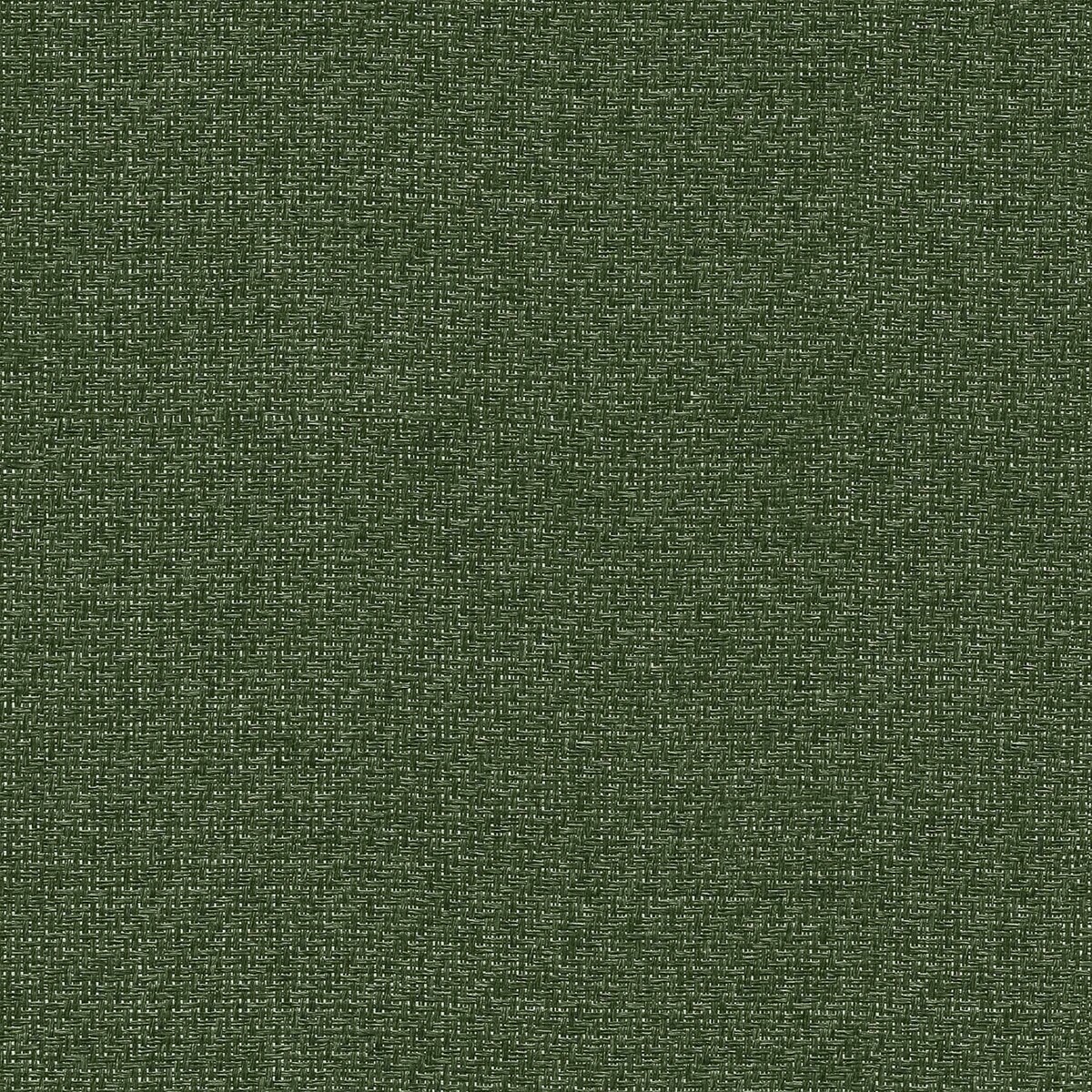 Papel Pintado Liso Texturizado Raffias+ Verde-1