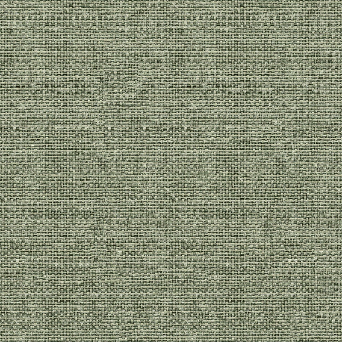 Papel Pintado Tecido Raffias+ Verde-claro-1