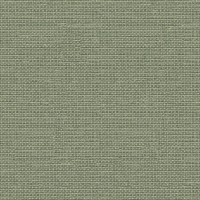 Imagem 0 de Papel Pintado Tecido Raffias+