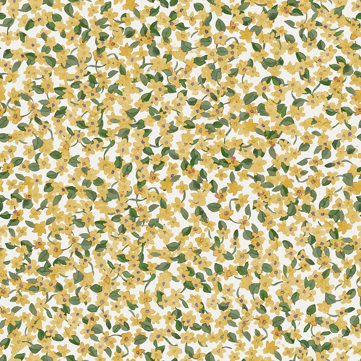 Imagem 0 de Papel Pintado Ana Feria