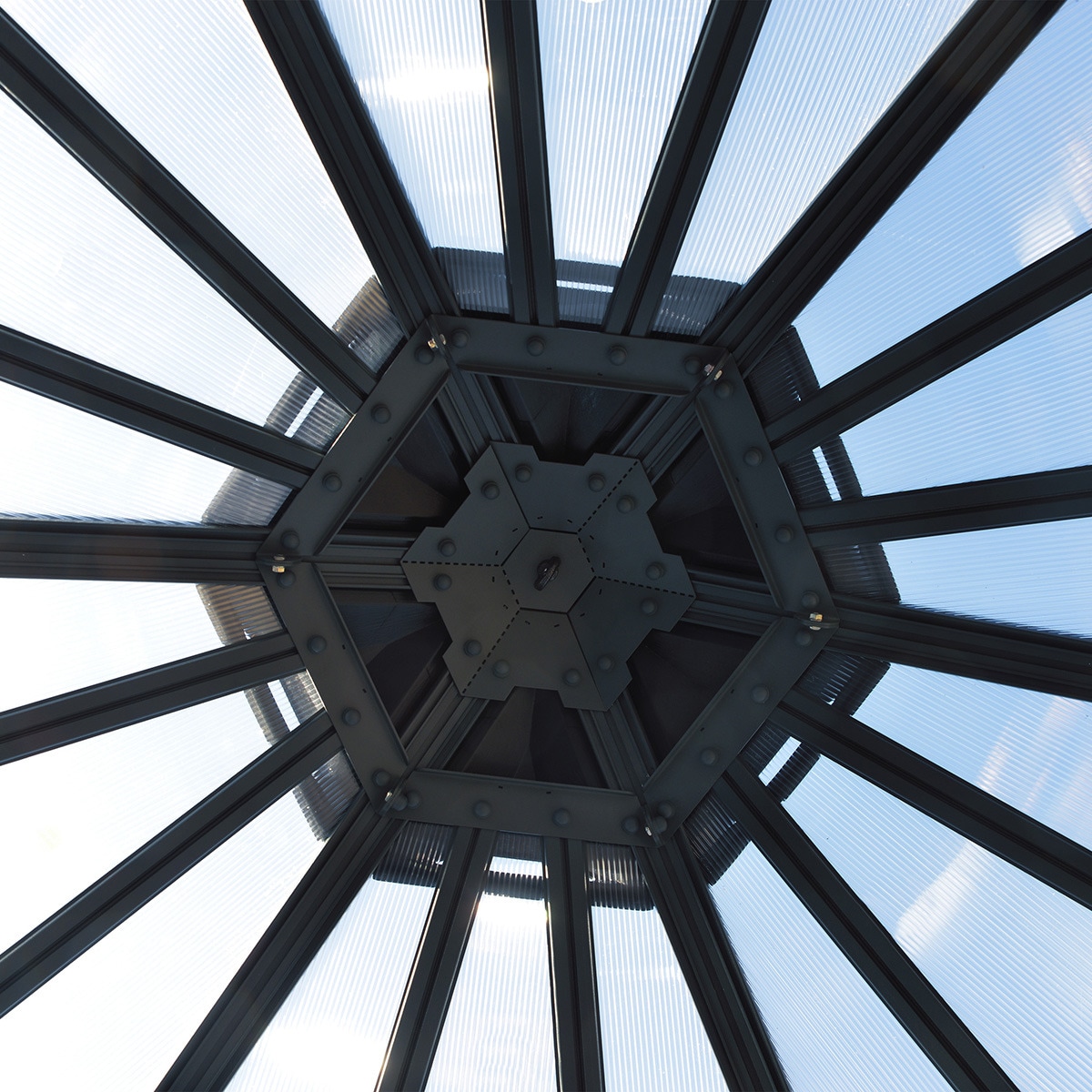 Invernadero de Policarbonato Hexagonal Oasis 245 x 212 cm Gris oscuro-8