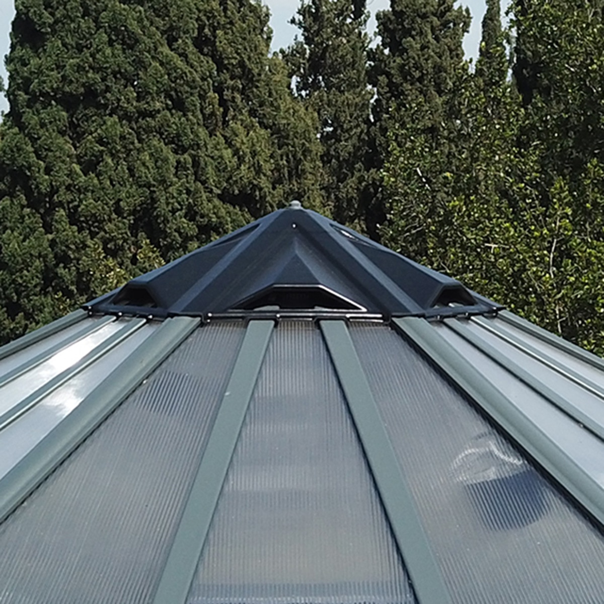 Invernadero de Policarbonato Hexagonal Oasis 245 x 212 cm Gris oscuro-7