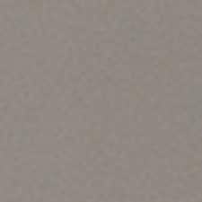 Taupe Taupe