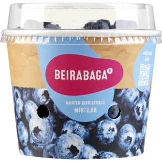 Mirtilos embalagem 300 g