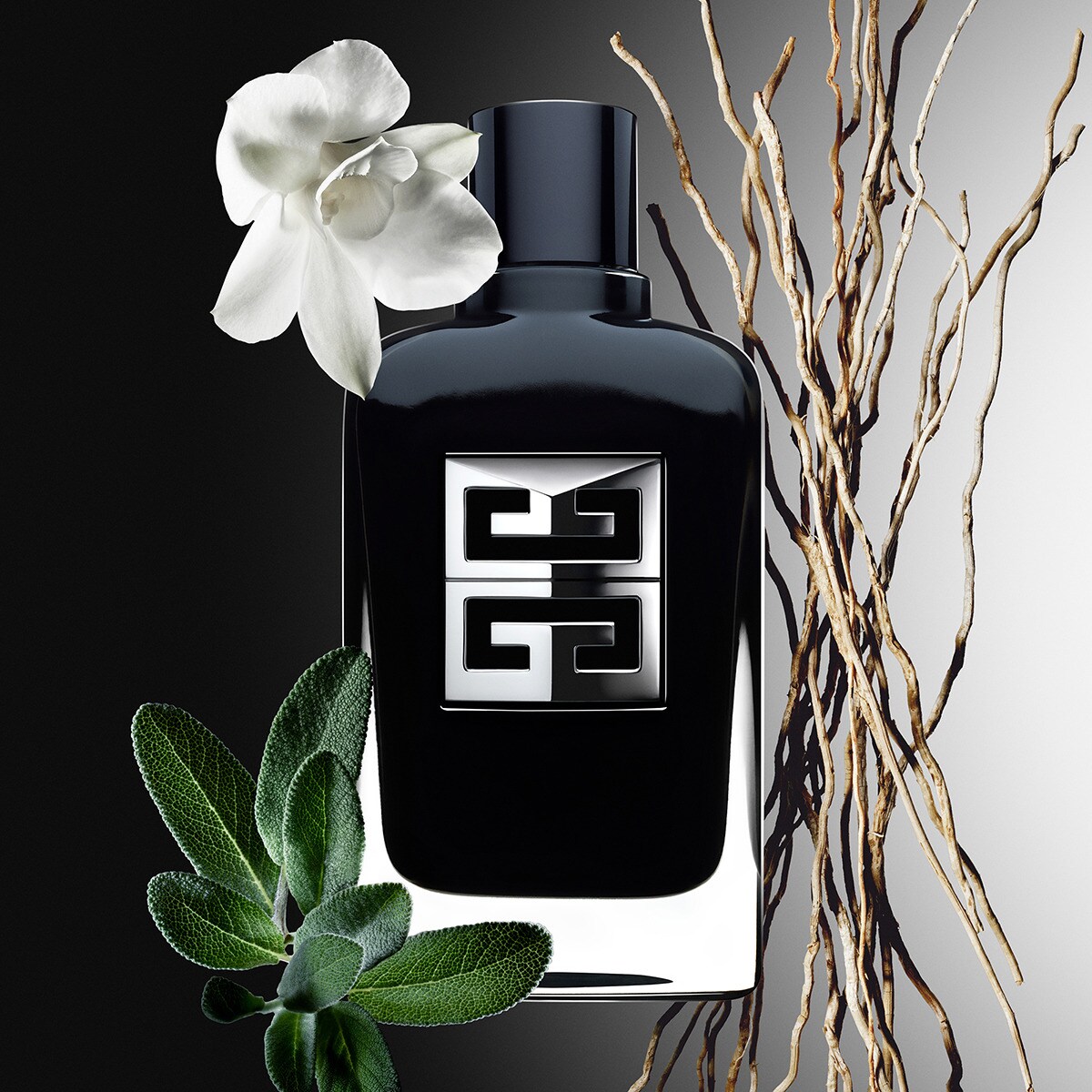 Gentleman Society Eau de Parfum - 60 ml 3