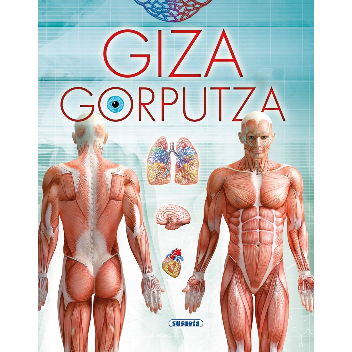 Giza gorputza (Capa dura) 1