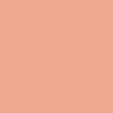 19 - Rose Abricot