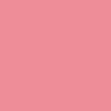 32 - Rose Pommette