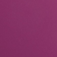 06 - Pourpre Camarine