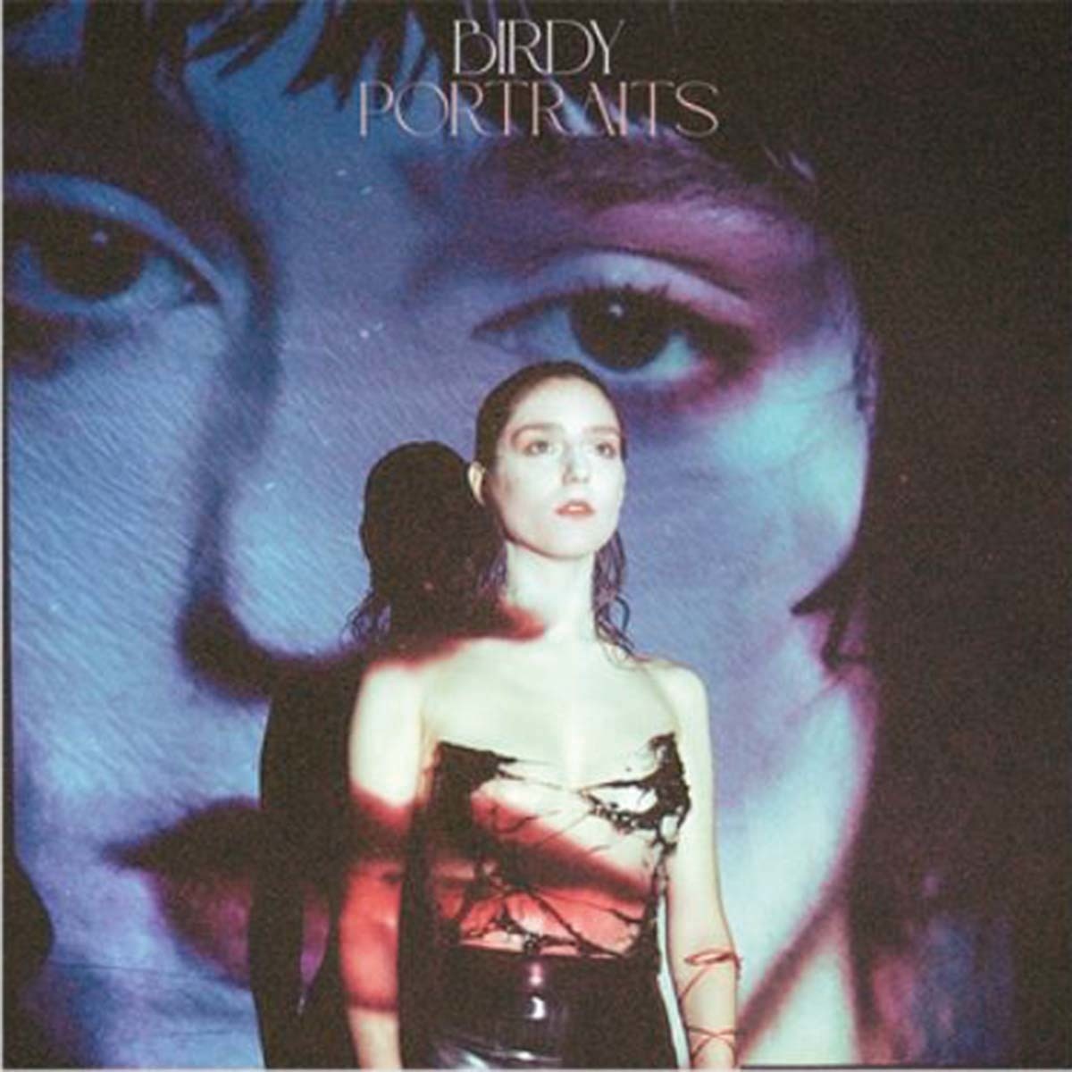 Imagem 0 de Portraits (LP-Vinil)