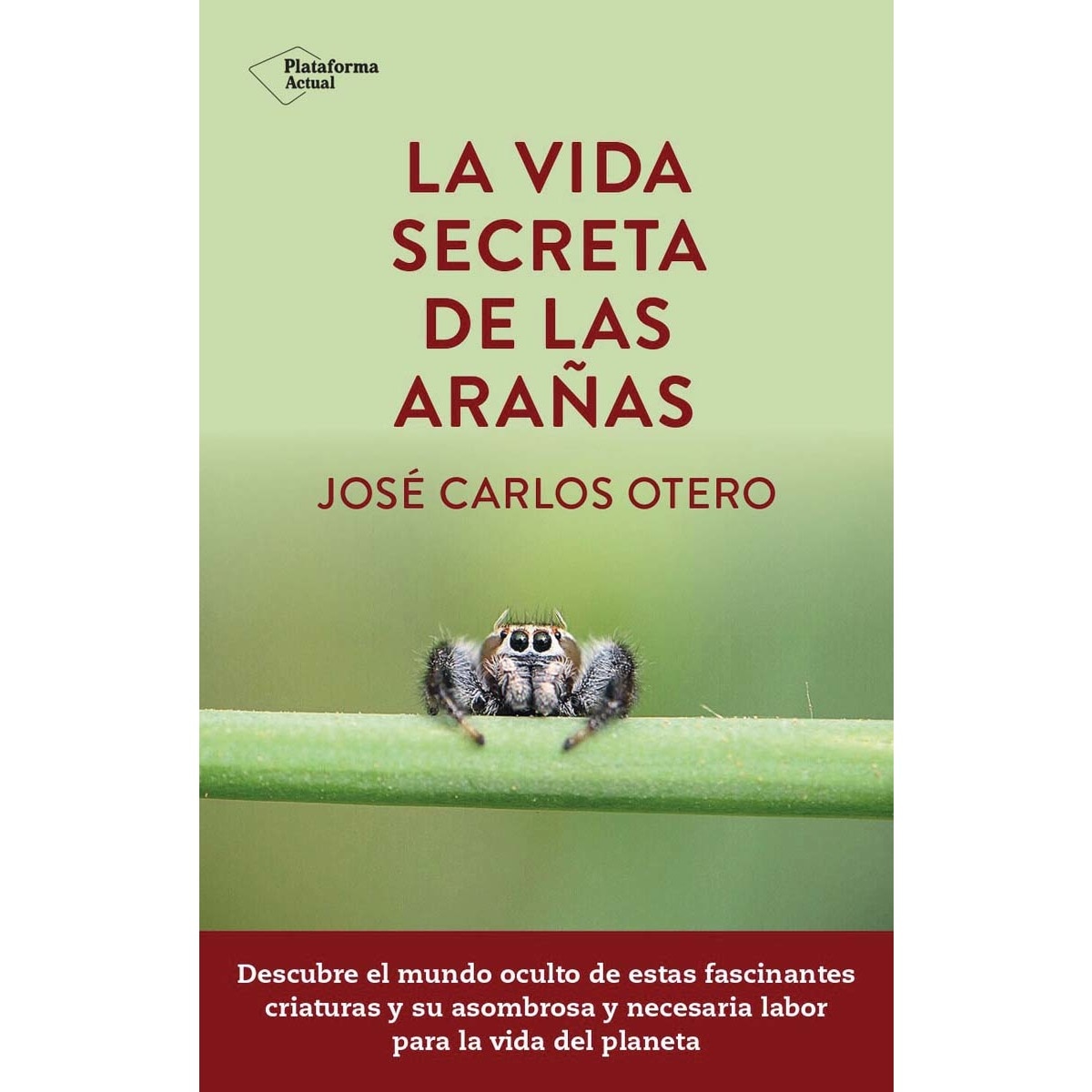 La vida secreta de las arañas (Capa mole com abas) 1