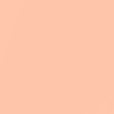 Light Beige N32