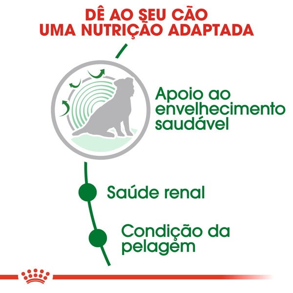 Ração para Cão Mini Ageing + 12 Anos com Mais de 10 kg embalagem 3,5 kg