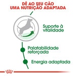 Ração para Cão Mini Adulto + 8 Anos embalagem 2 kg