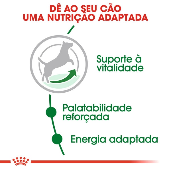 Ração para Cão Mini Adulto + 8 Anos embalagem 2 kg