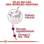 Ração para Cão Médio Adulto a Partir dos 12 Meses embalagem 15 kg