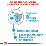 Ração para Cão Médio Junior a Partir dos 12 Meses dos 11 aos 25 kg embalagem 4 kg