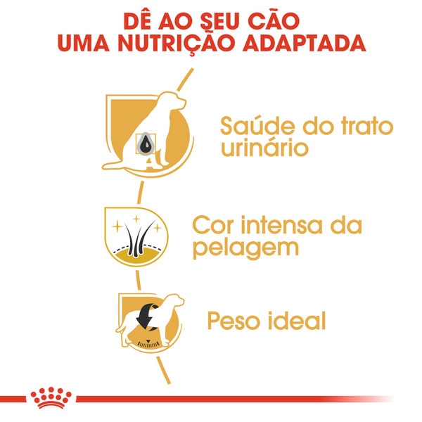 Ração para Cão Miniature Schnauzer Adulto a Partir dos 10 Meses embalagem 3 kg