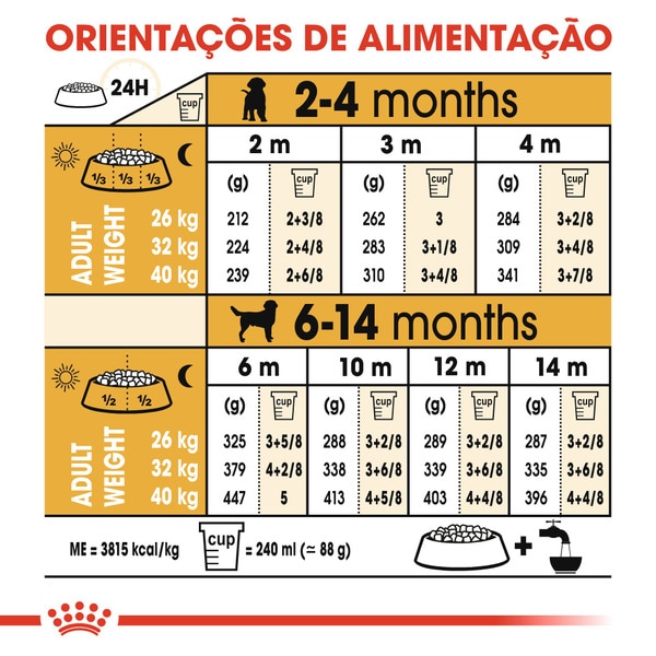 Ração para Cão Labrador Retriever Junior a Partir dos 15 Meses embalagem 12 kg