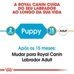 Ração para Cão Labrador Retriever Junior a Partir dos 15 Meses embalagem 12 kg