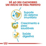 Ração para Cão Labrador Retriever Junior a Partir dos 15 Meses embalagem 12 kg